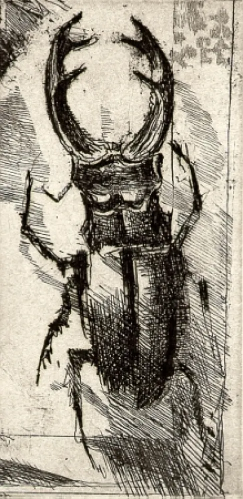 Libro Illustrato Calandri - Ballades et Rondeaux du Testament Villon