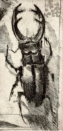 Libro Illustrato Calandri - Ballades et Rondeaux du Testament Villon