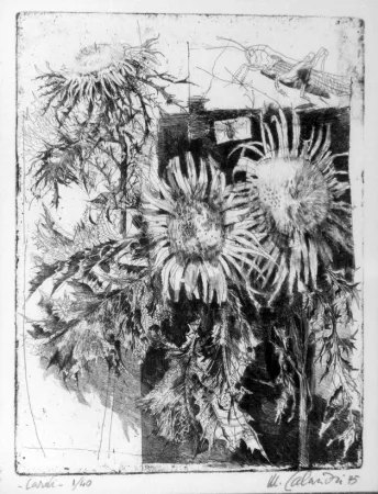 Acquaforte Calandri - Cardi