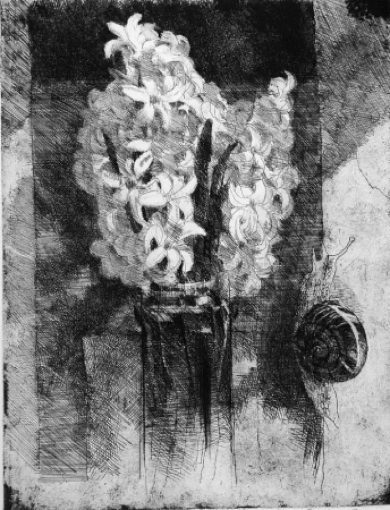 Acquaforte Calandri - Giacinti