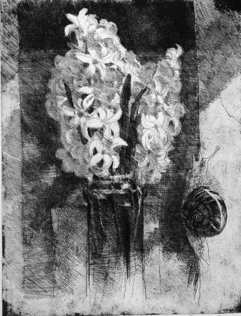 Acquaforte Calandri - Giacinti