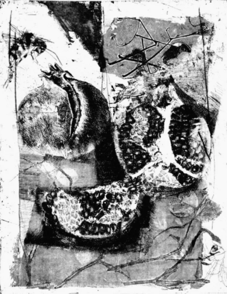 Acquaforte Calandri - Melograne