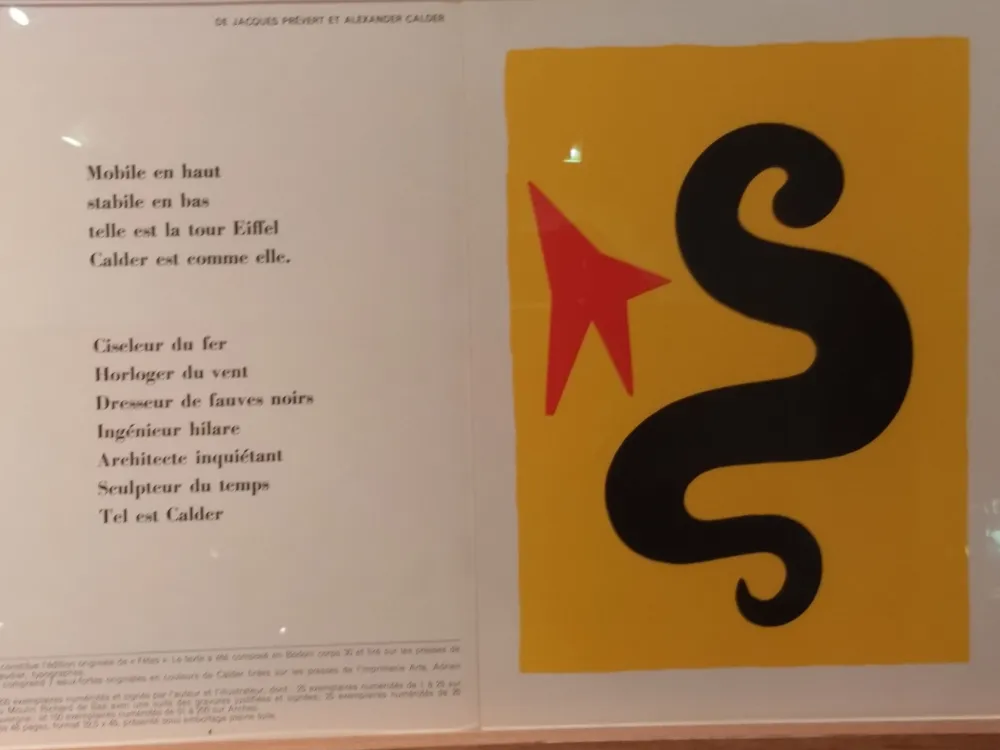 Libro Illustrato Calder (After) - DLM195