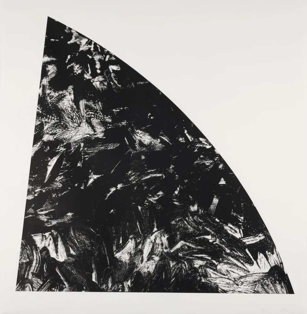 Litografia Calder - Baie Rouge