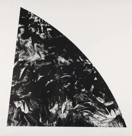 Litografia Calder - Baie Rouge