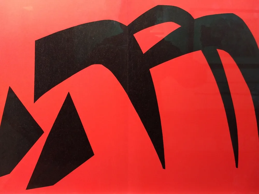 Libro Illustrato Calder - DLM 113