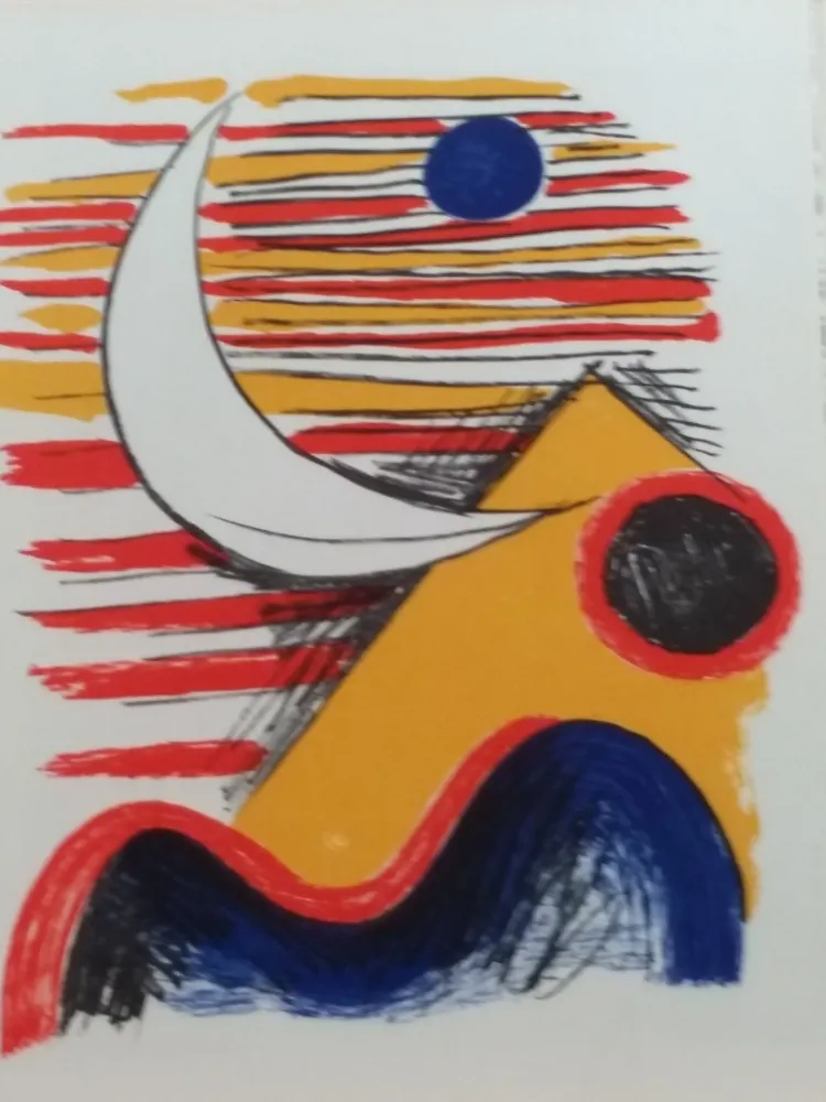 Libro Illustrato Calder - DLM 121 122