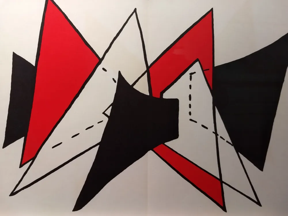 Libro Illustrato Calder - DLM 141