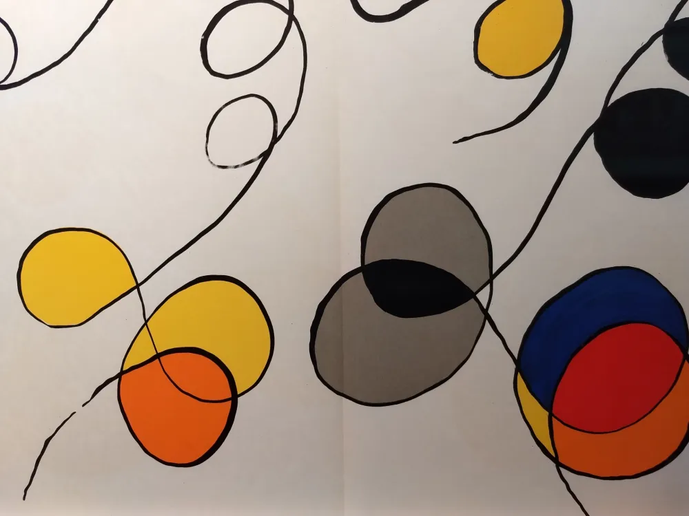 Libro Illustrato Calder - DLM 173