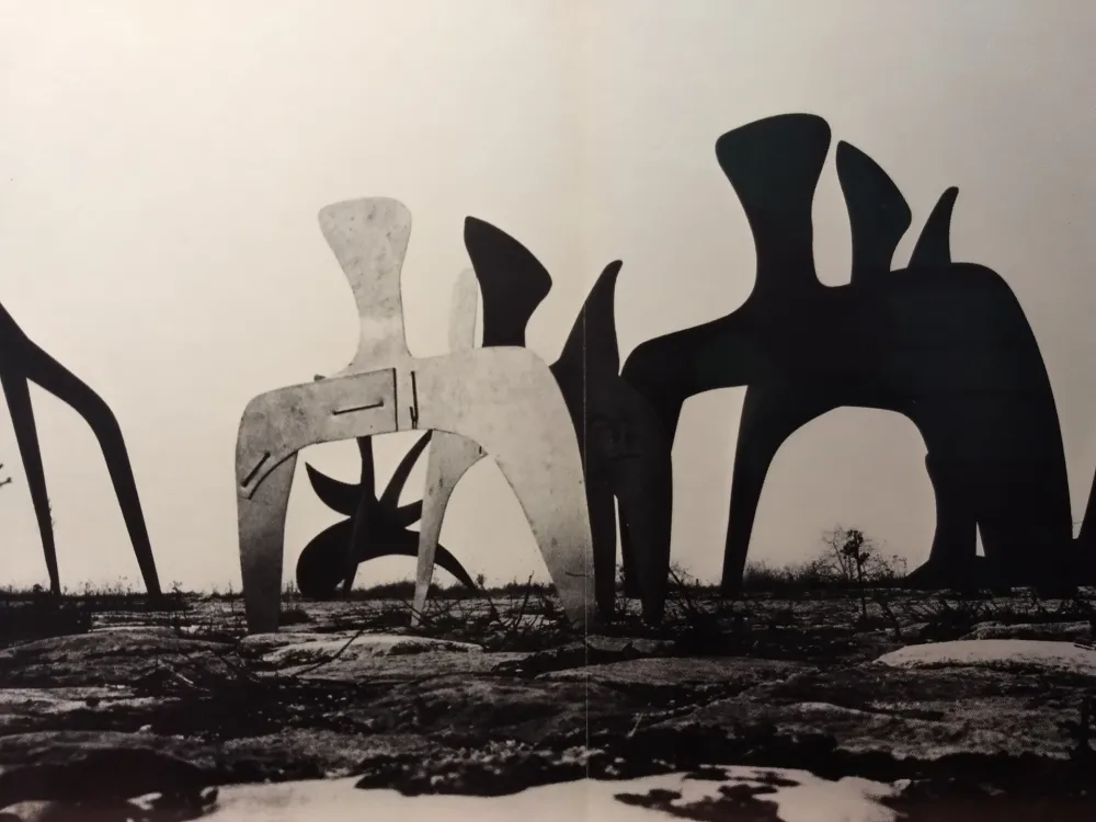 Libro Illustrato Calder - DLM 190