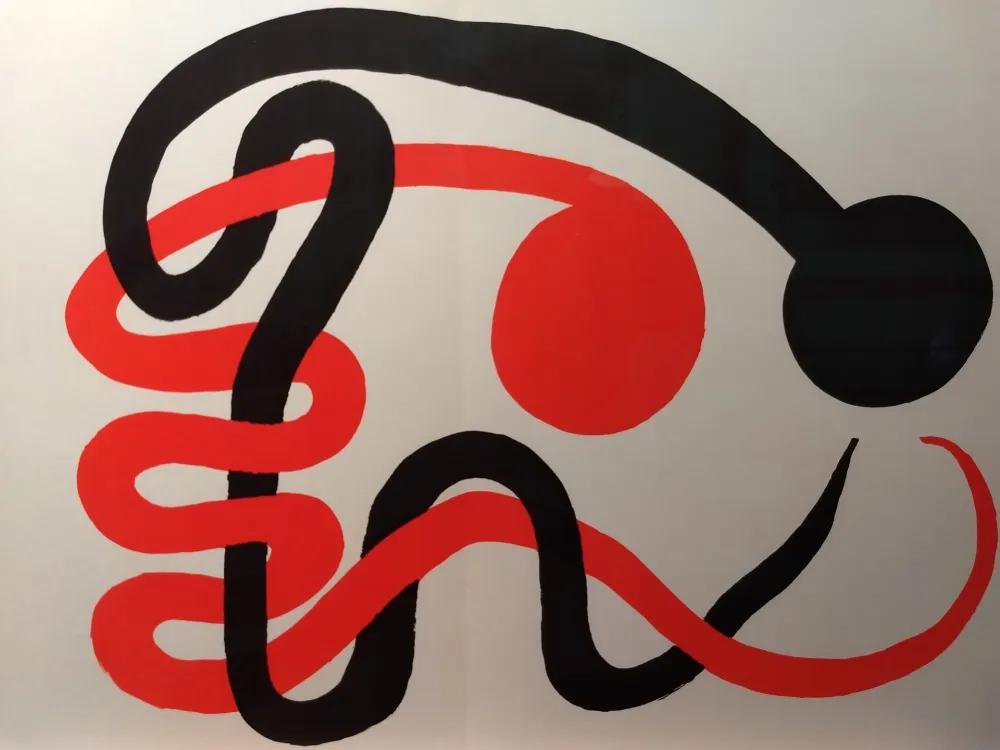 Libro Illustrato Calder - DLM 201