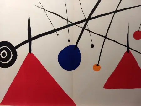Libro Illustrato Calder - DLM 69-70