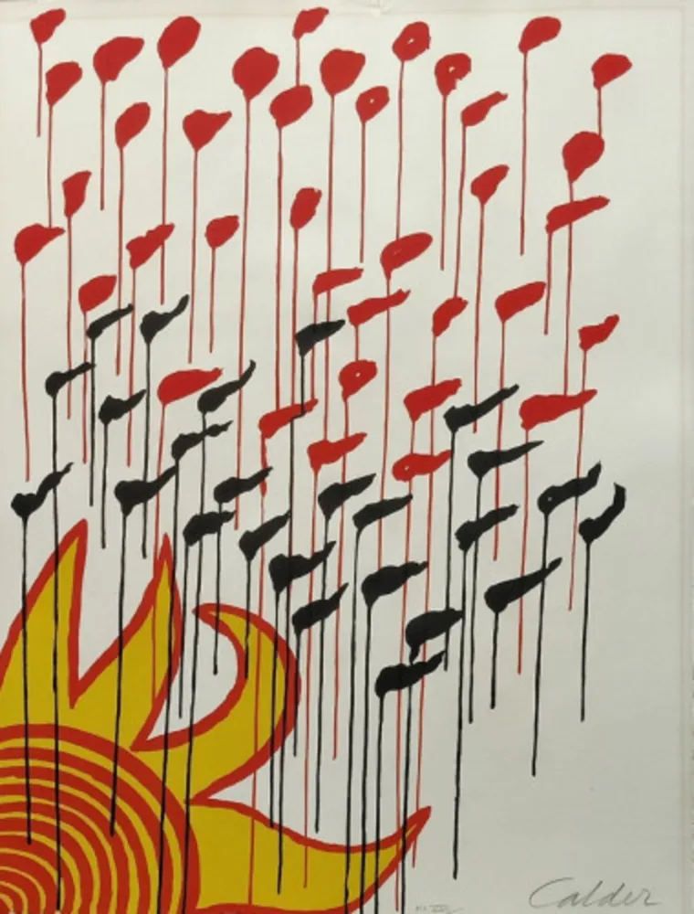 Litografia Calder - Rain