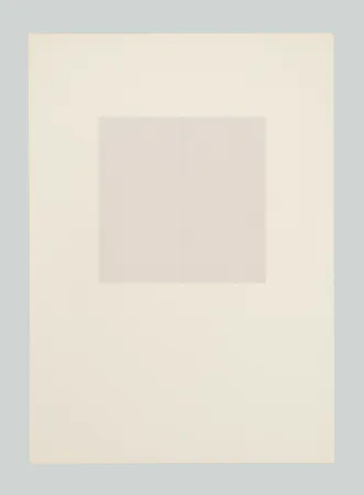 Serigrafia Calderara - E poi (Tav. D)