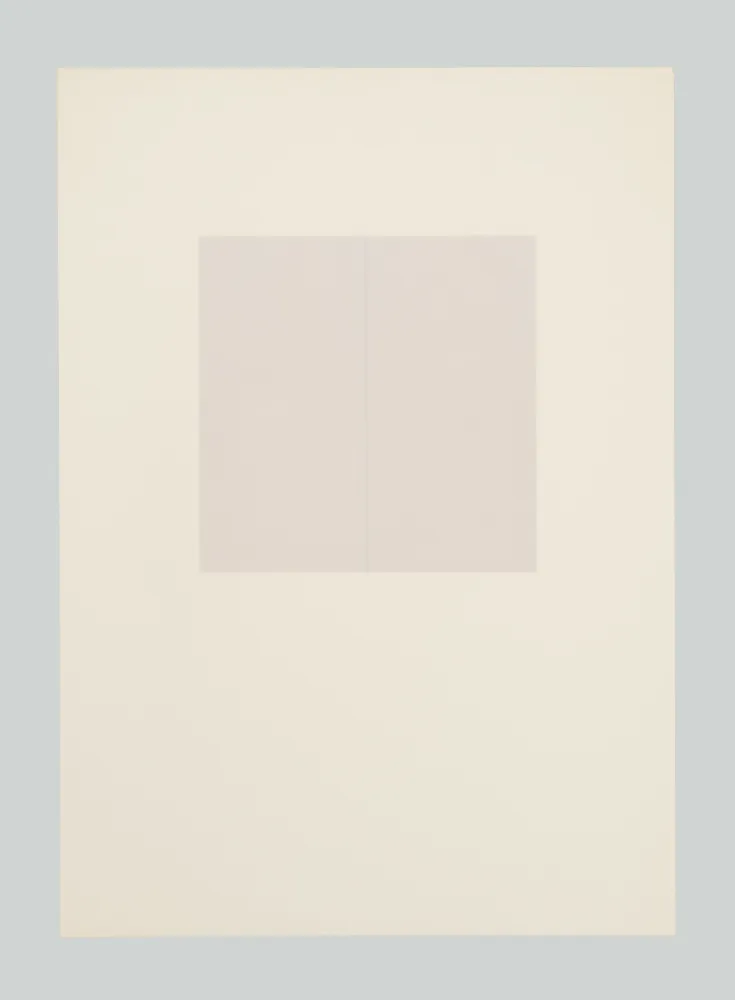 Serigrafia Calderara - E poi (Tav. E)