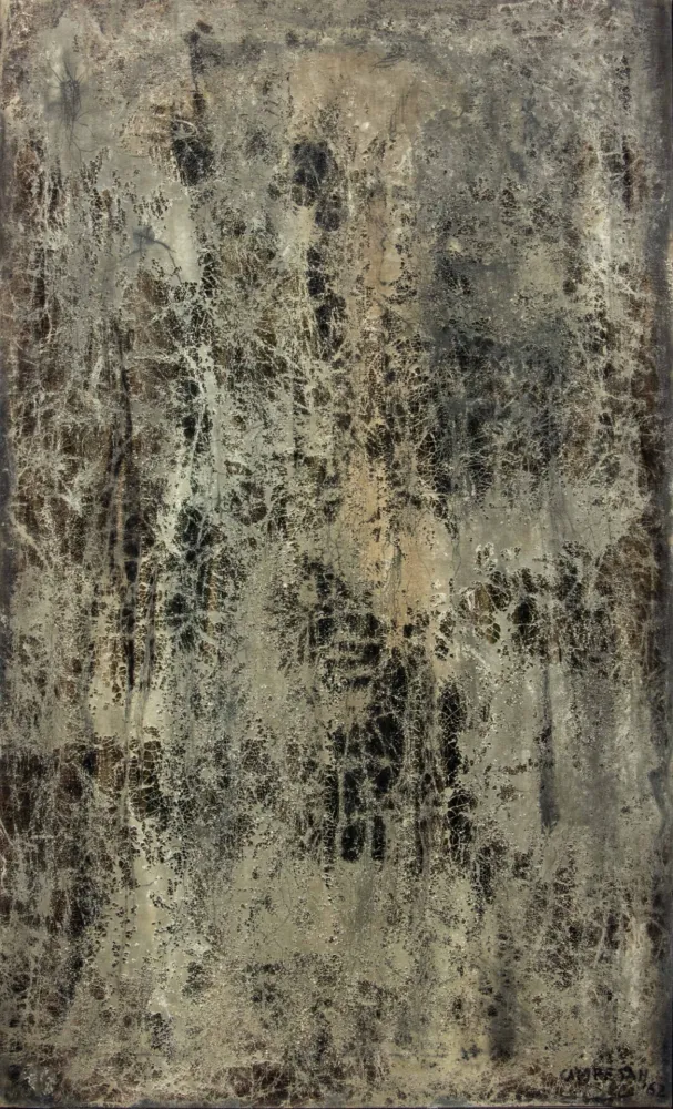 Non Tecnico Campesan - BASSAMAREA