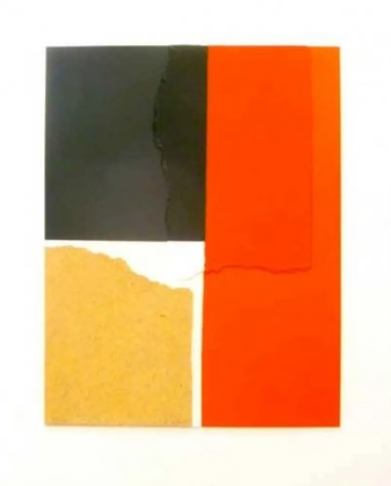 Serigrafia Canogar - Crisol