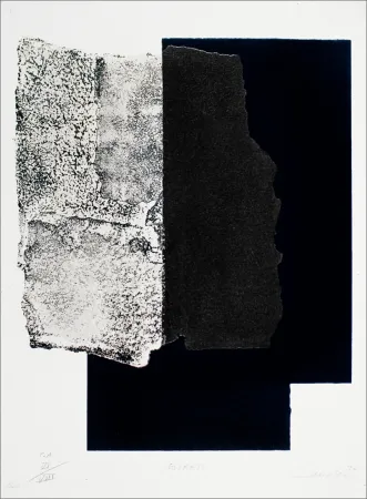 Serigrafia Canogar - Estrato