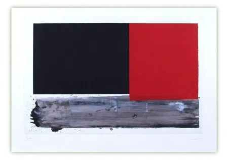 Incisione Canogar - Lecho