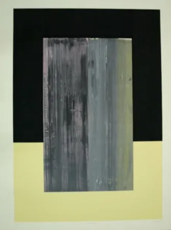 Serigrafia Canogar - NOSTROJENA