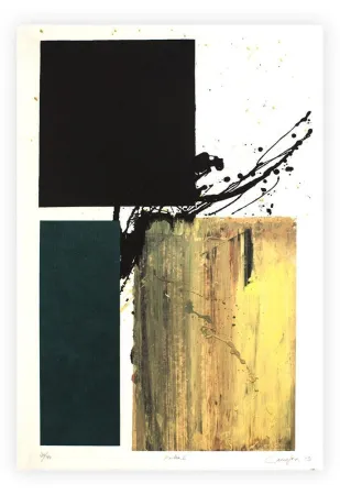 Grafica Numerica Canogar - Polea I