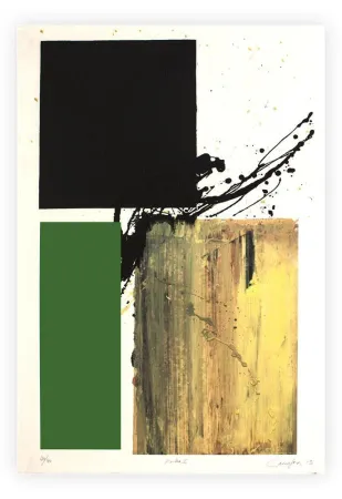 Grafica Numerica Canogar - Polea II