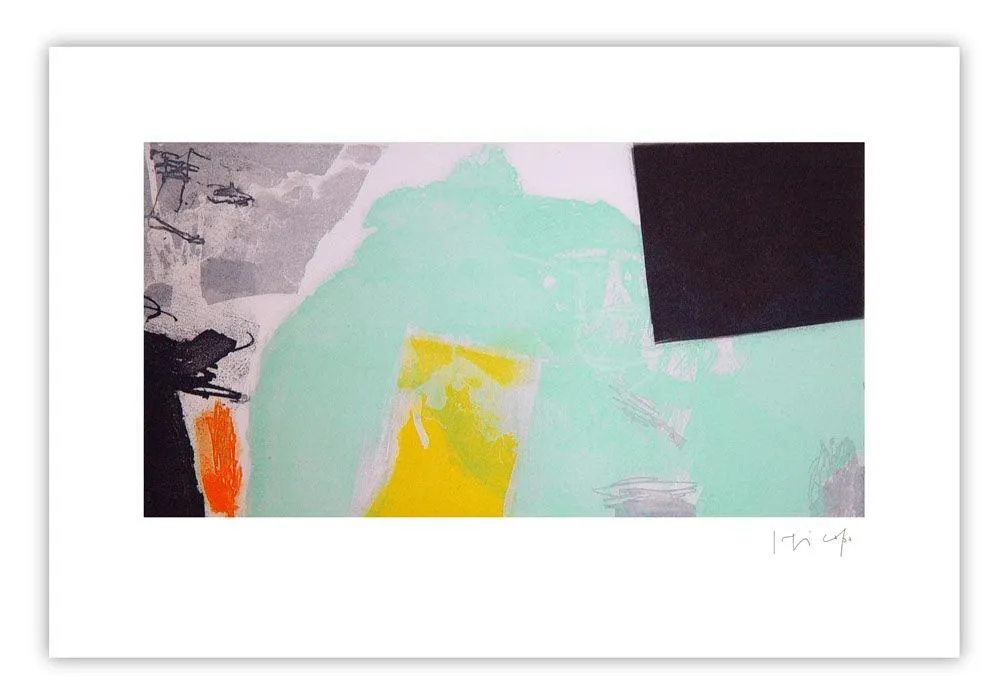 Incisione Capa - Vert