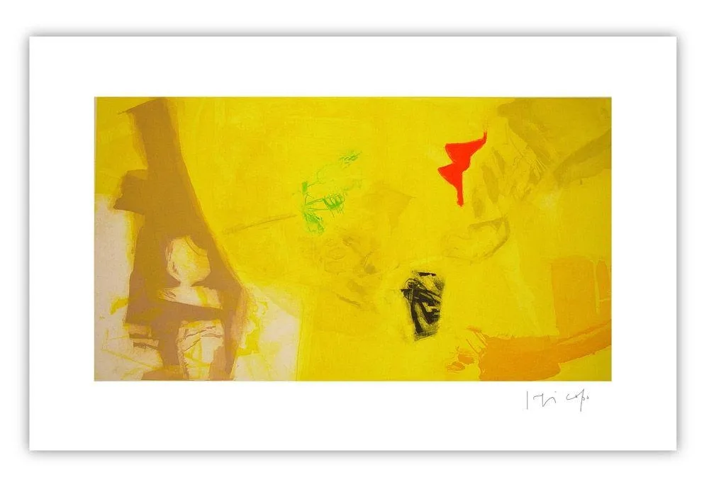Incisione Capa - Yellow and colors
