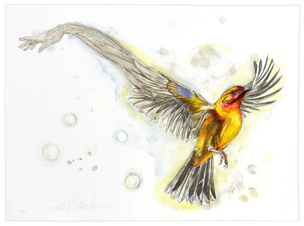 Litografia Carlsen - Mediator #2