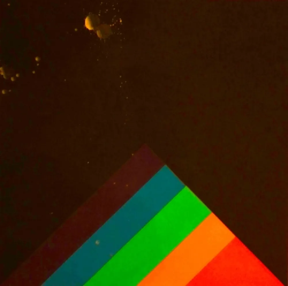 Serigrafia Carmi - SENZA TITOLO