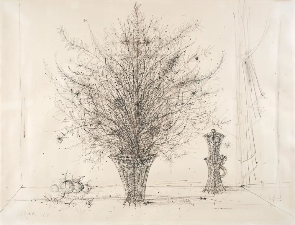 Non Tecnico Carzou - 