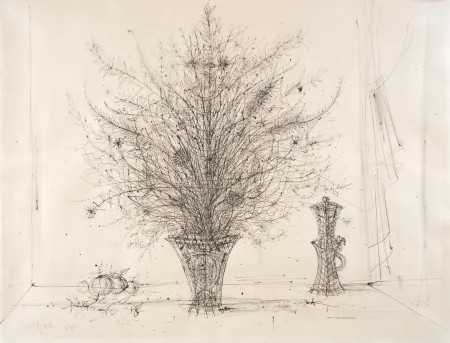 Non Tecnico Carzou - 