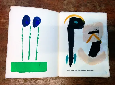 Libro Illustrato Cascella - Il Magocostruttordivoli