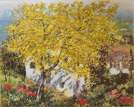 Acquaforte Cascella - Natura