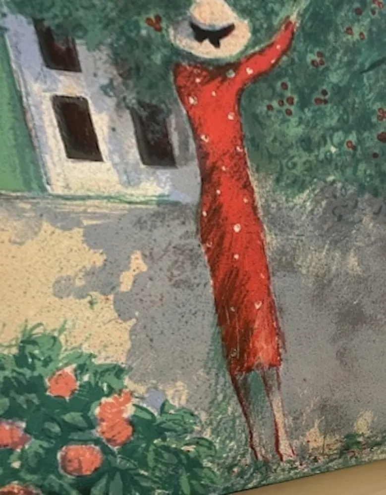 Libro Illustrato Cassigneul  - CASSIGNEUL