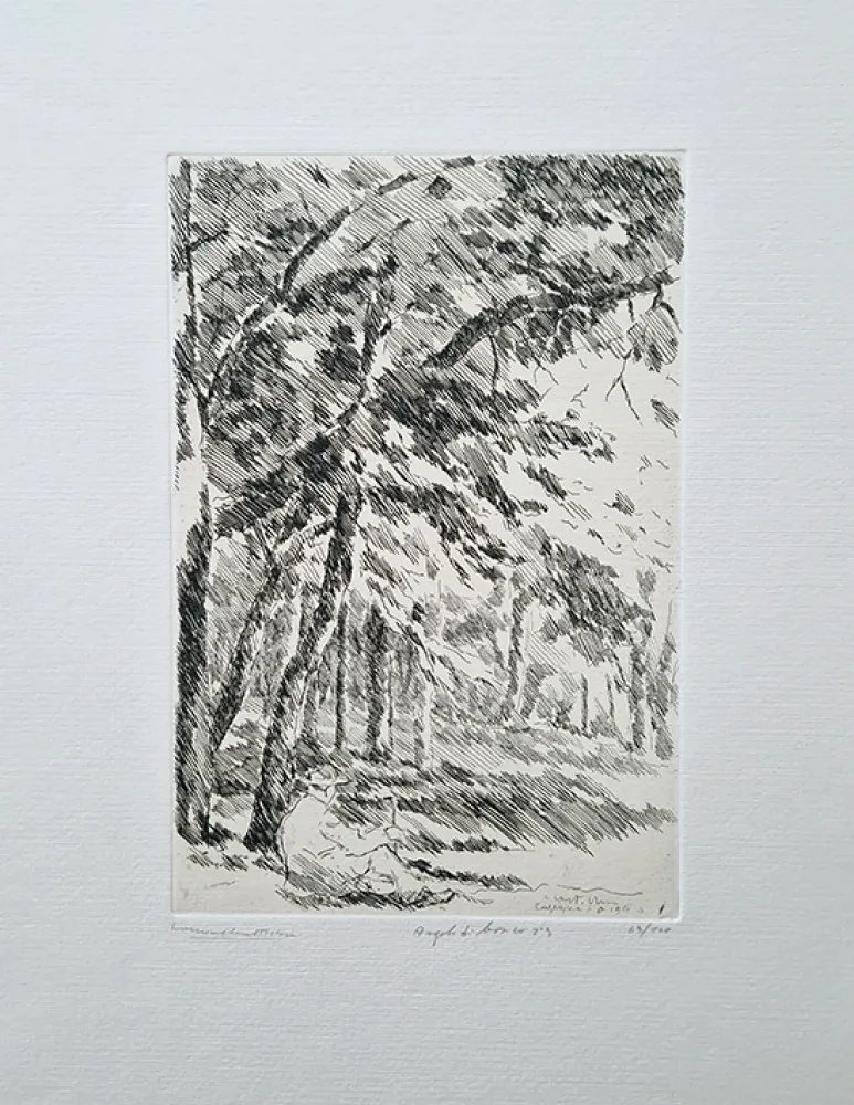 Acquaforte Castellani - Angolo di bosco