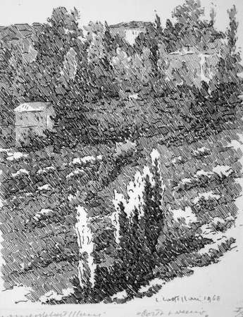 Acquaforte Castellani - Costa Avernio