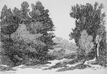 Acquaforte Castellani - La strada del cantoniere