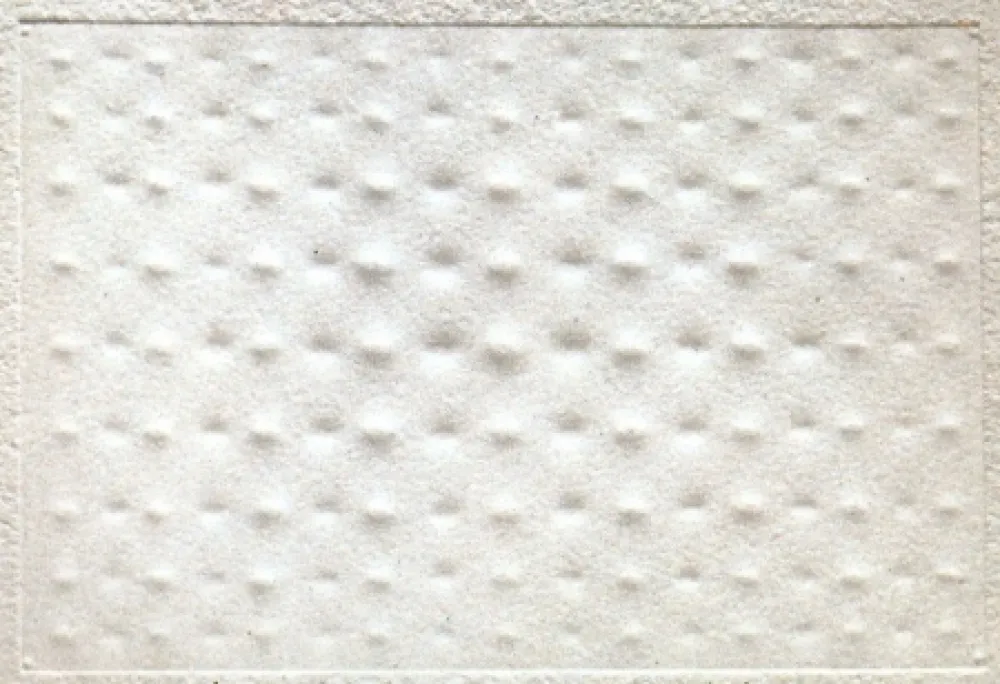 Rilievo Castellani - Superficie Bianca