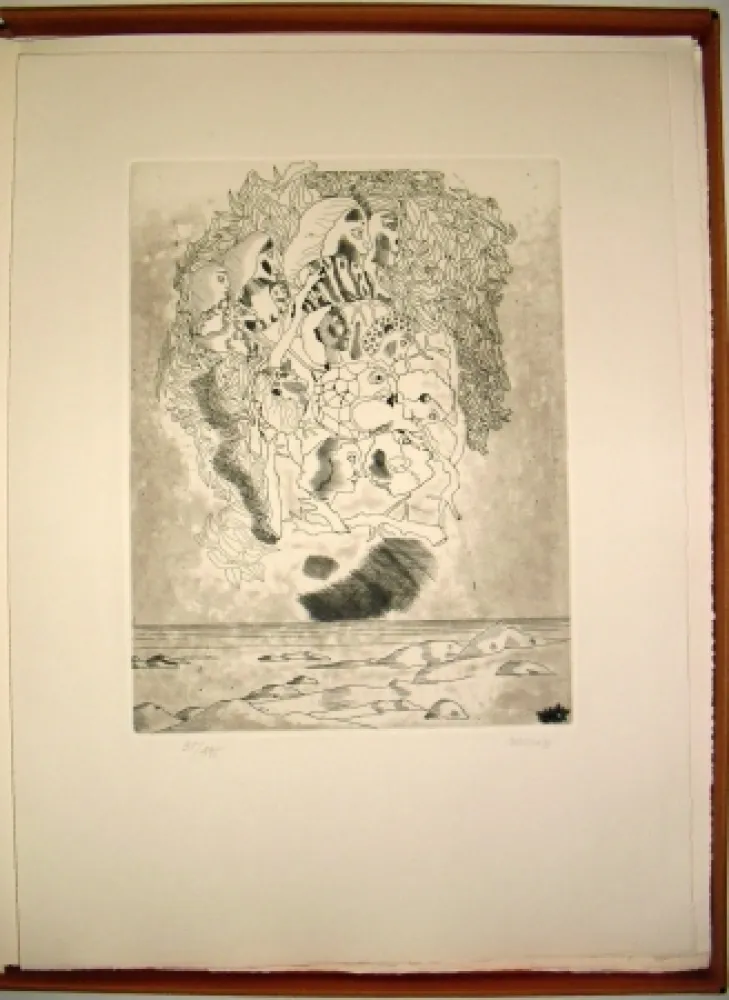 Libro Illustrato Castillo - Canta a Sola Lisi