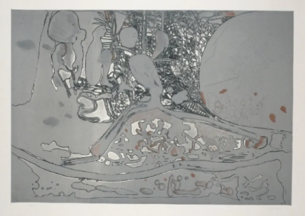 Acquaforte E Acquatinta Castillo - Jardin de invierno 2