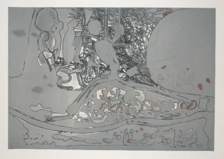 Acquaforte E Acquatinta Castillo - Jardin de invierno 2