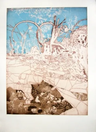 Acquaforte E Acquatinta Castillo - Tiergarten