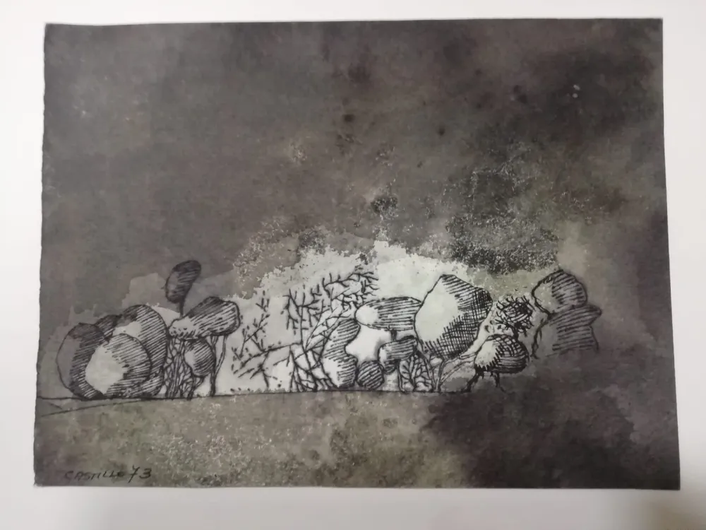 Non Tecnico Castillo - Vista de Grünewald