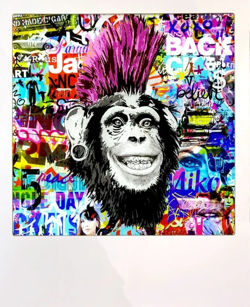 Grafica Numerica Catelain - Crazy Pink Monkey