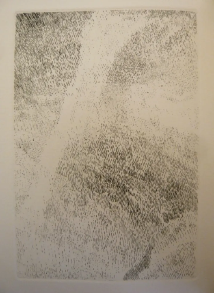 Libro Illustrato Celan Lestrange - Protocole