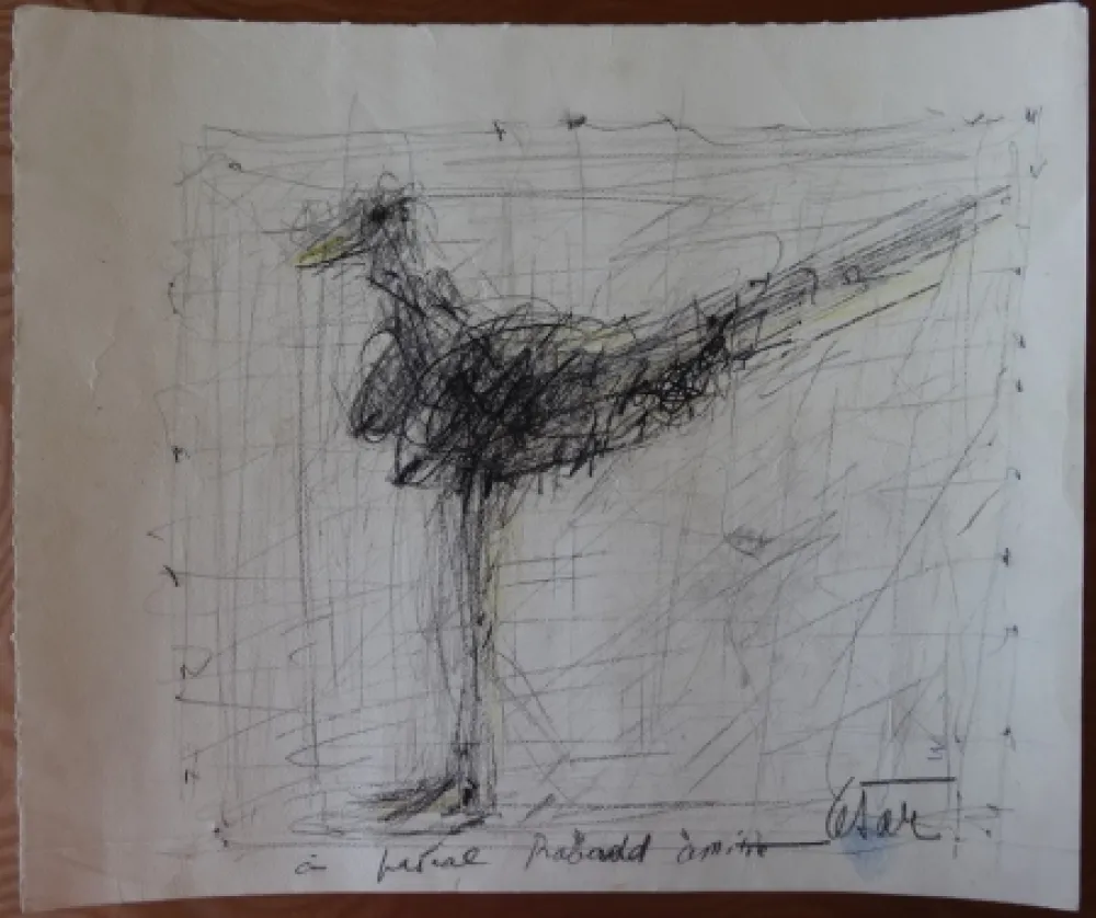 Non Tecnico Cesar - La poule