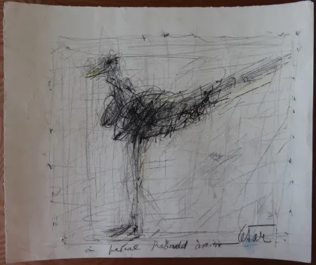 Non Tecnico Cesar - La poule