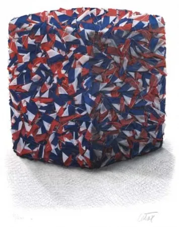 Serigrafia Cesar - Portrait comp. drapeaux Français