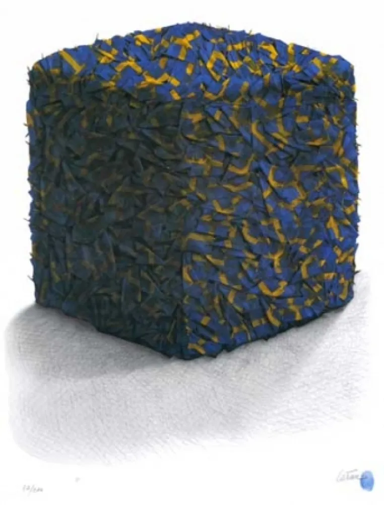 Serigrafia Cesar - Portrait comp. drapeaux Suédois